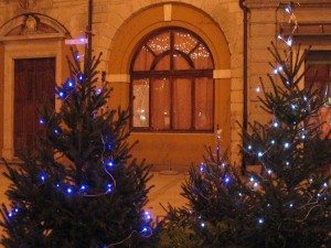 ALBERI DI NATALE IN PIAZZA GARIBALDI