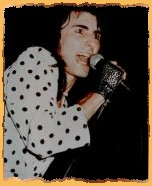 MIRKO DEFOX